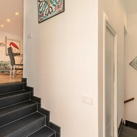 Luxury Setas Apartamento